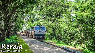 7 in 1 Diesel Action from Kerala| Amazing Nilambur Road  Shoranur Railway Line #indianrailways