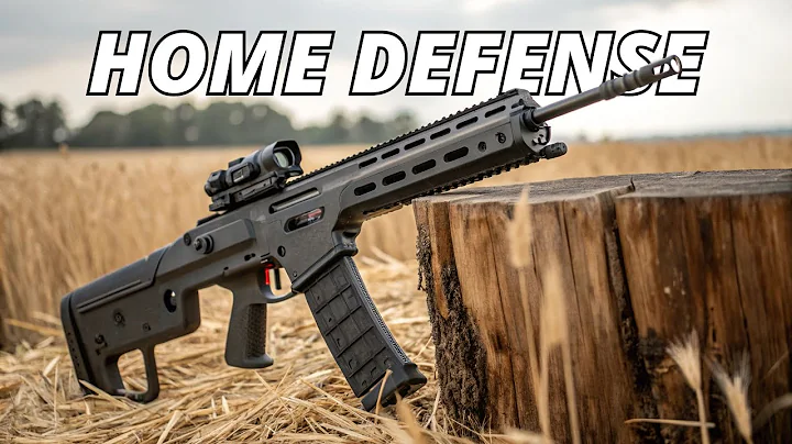 The TOP 10 AR 15 Rifles For Home Defense In 2025!