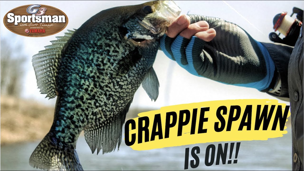 Crappie Fishing Through the Spawn