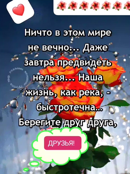 Радости и счастья в новом дне! #мираидобра - YouTube