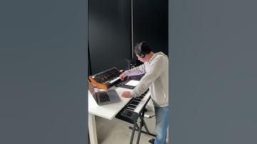 Feels - Gus Vega | Moog Subsequent 37 and Push 3 combo #moog #ableton #synth #deephouse #newmusic