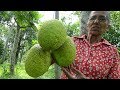 Amazing Sweet Recipe prepared from Breadfruit by Grandma in my Village | Village Food