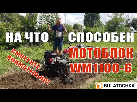 😏На что способен КИТАЙСКИЙ мотоблок, стоит покупать? Обзор мотоблока #WEIMA DELUXE WM1100C-6 (Diff)