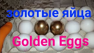 Золотые Яйца. Golden Eggs