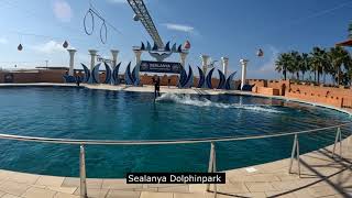 Sealanya Dolphinpark alayna   2023 september