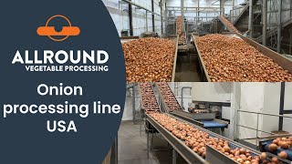 Onion processing line | BAK | USA | Allround Vegetable Processing