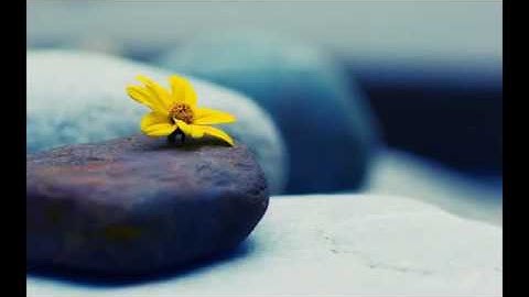 جمال التلاوة وروعة الاداء