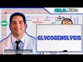 Metabolism | Glycogenolysis
