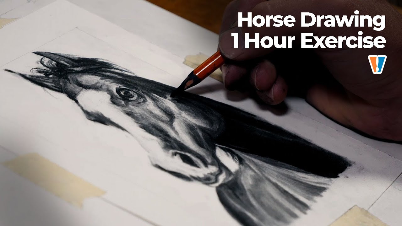 Horse Drawing with Charcoal