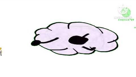 (REUPLOAD) everyone fight liam González haters (add round 1)