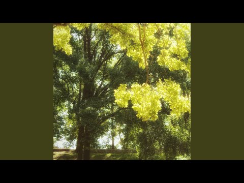 在 YouTube 上观看 Bloom 在 YouTube 上观看 Bloom