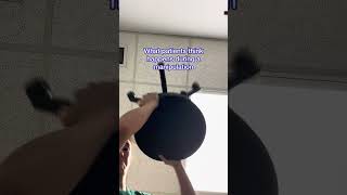 Download Lagu The more cracks the BeTTEr!!! #dptstudent #physiotherapist #npte #pt #physicaltherapy #chiropractor MP3 Download Lagu The more cracks the BeTTEr!!! #dptstudent #physiotherapist #npte #pt #physicaltherapy #chiropractor MP3
