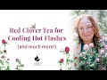 Red Clover Tea Benefits (Trifolium pratense) | Herbs for Menopause Support