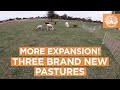 More Expansion! Three Brand New Pastures