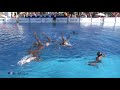 COMEN Sevilla Natación Artística - Combo Final