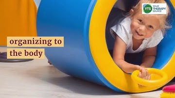 What is proprioception?