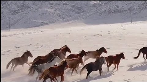 سورة العاديات مكتوبة✏️ برواية ورش عن نافع 🌴✨✍️👍🔔