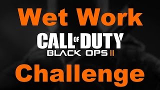 Wet Work- DYLT Video of the Day 12