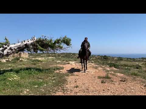 Νίκος Πολυδερόπουλος: Η απίστευτη ζωή του, αποκλεισμένος στη Γαύδο!