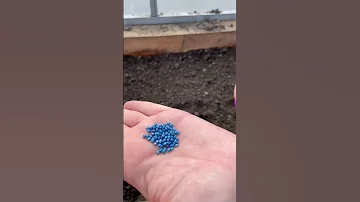 Простой лайфхак для посадки редиски ❤️👌