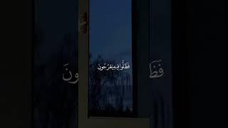 بسم الله الرحمن الرحيم