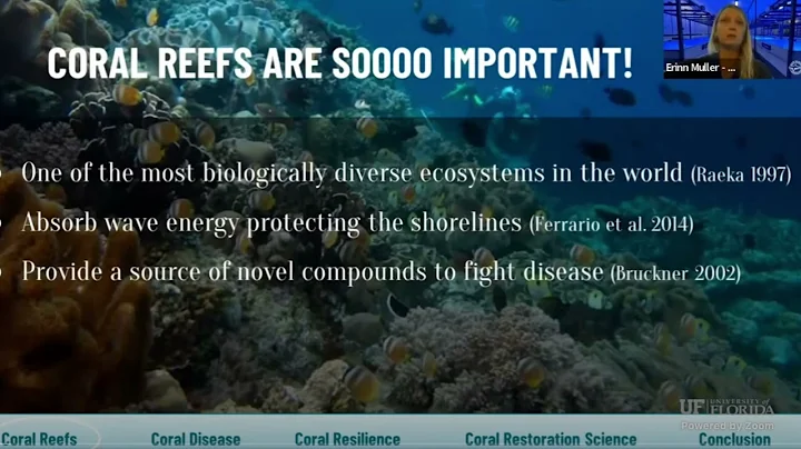 Clip - Webinar Coral Reef Value in Ecosystem Servi...