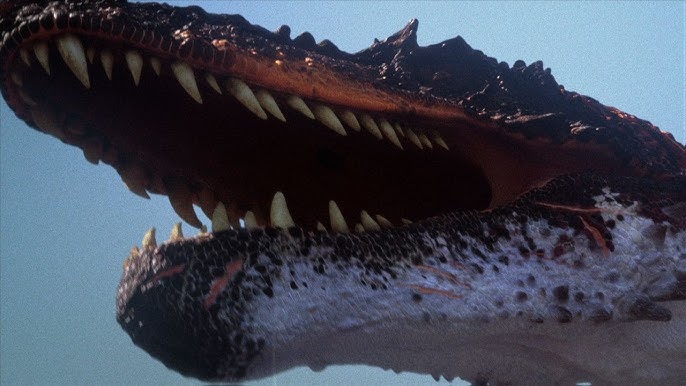 Dinos Videok