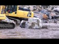 Ferryside Sea Defences - Placing the Six-Ton Rocks