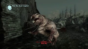 FALLOUT 3 PLAYTHROUGH (part 4) The Capital Wasteland