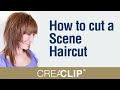 How to Cut a Scene Haircut - Singer Hayley Williams Hairstyle! EMO Style
