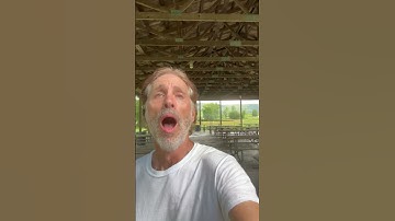 Thumbnail of Gordon Lightfoot songs & The most awesome beautiful original songs￼ ￼
