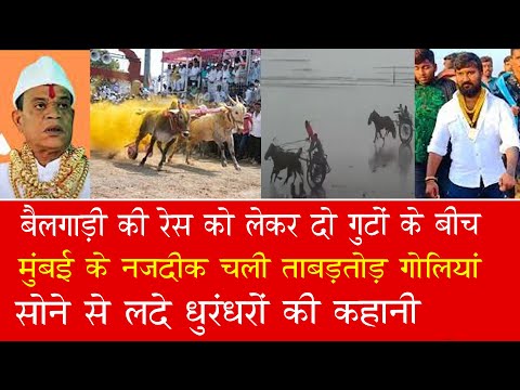 EP 962 | When bullets rained during a row between two bullock cart racing tycoons.