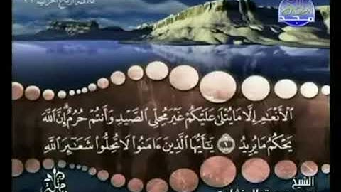 6 الجزء السادس من القرآن الكريم | الشيخ محمد صديق المنشاوي | ختمة مرتلة بدون إعلانات