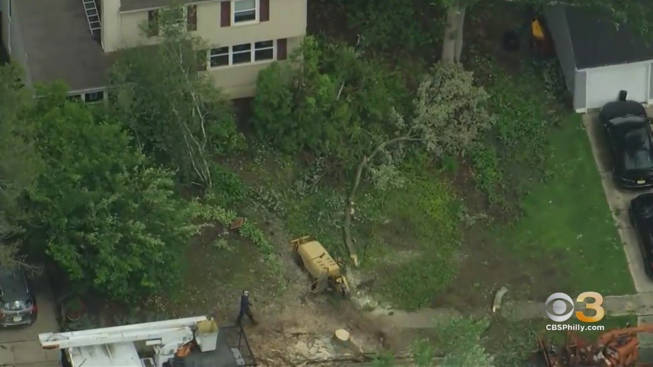 NWS Confirms EF-1 Tornado Touches Down In Gloucester Township, New ...