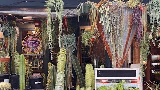 Top 5 BEST Plant Shops in Austin, TX