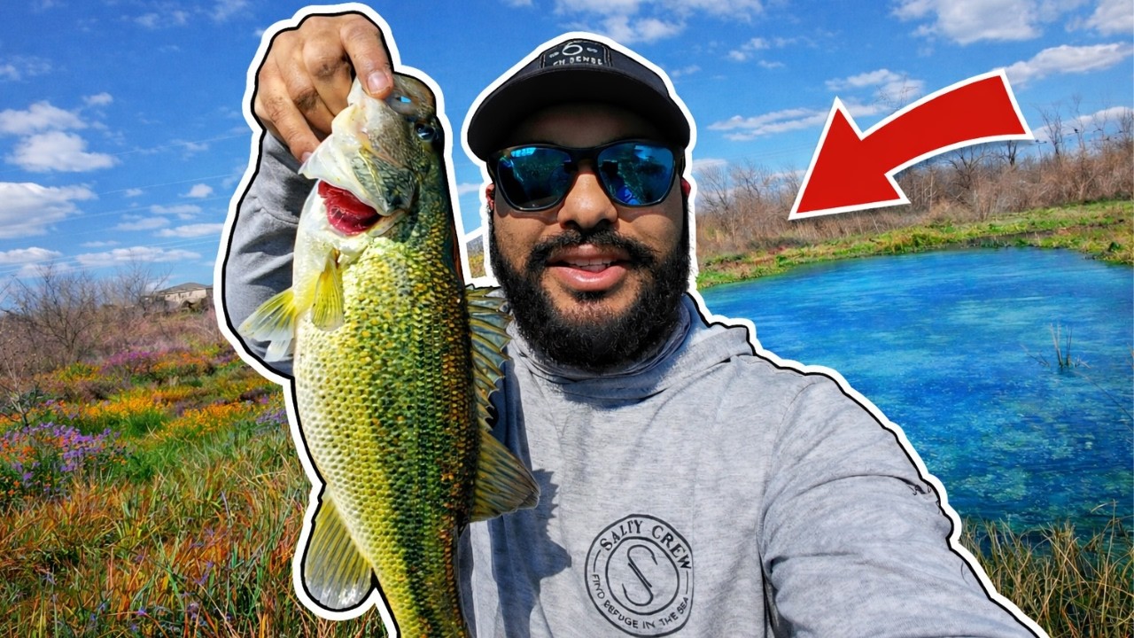Fishing 