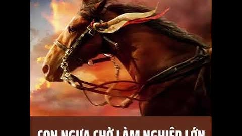 CON NGỰA CHỜ LÀM NGHIỆP LỚN