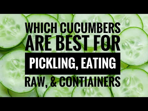 Video: What Cucumbers Are Great For Pickling?