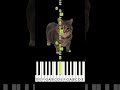OIA OIA CAT SONG ( Easy piano tutorial )