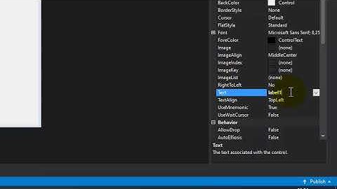 VISUAL STUDIO PROGRAMINDA FORM SAYFASINA NESNE EKLEME