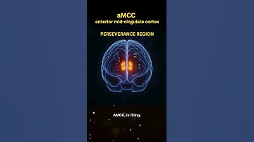 Most People Fail This 30 Second Plank