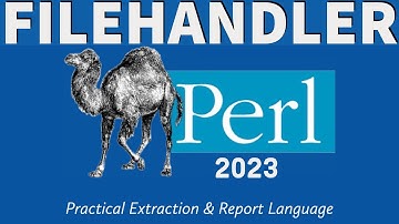 Perl Programming - Files 2023