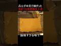 兵士が本気で嫌がった風変りな戦闘糧食3選 #ミリタリー #軍事