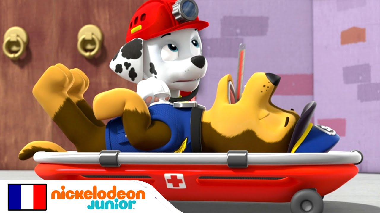 Paw Patrol  La Pat Patrouille  Chase est malade   Nick Jr