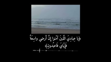 سورة العنكبوت - عبدالرحمن مسعد / ‏Quran Surah Al-Ankabut