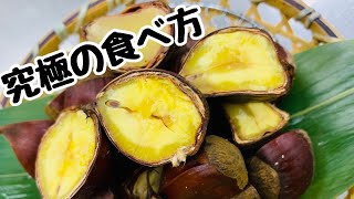 これぞ究極栗の茹で方！手間ゼロもぉやるしかない！ 知らないと損するよ！！