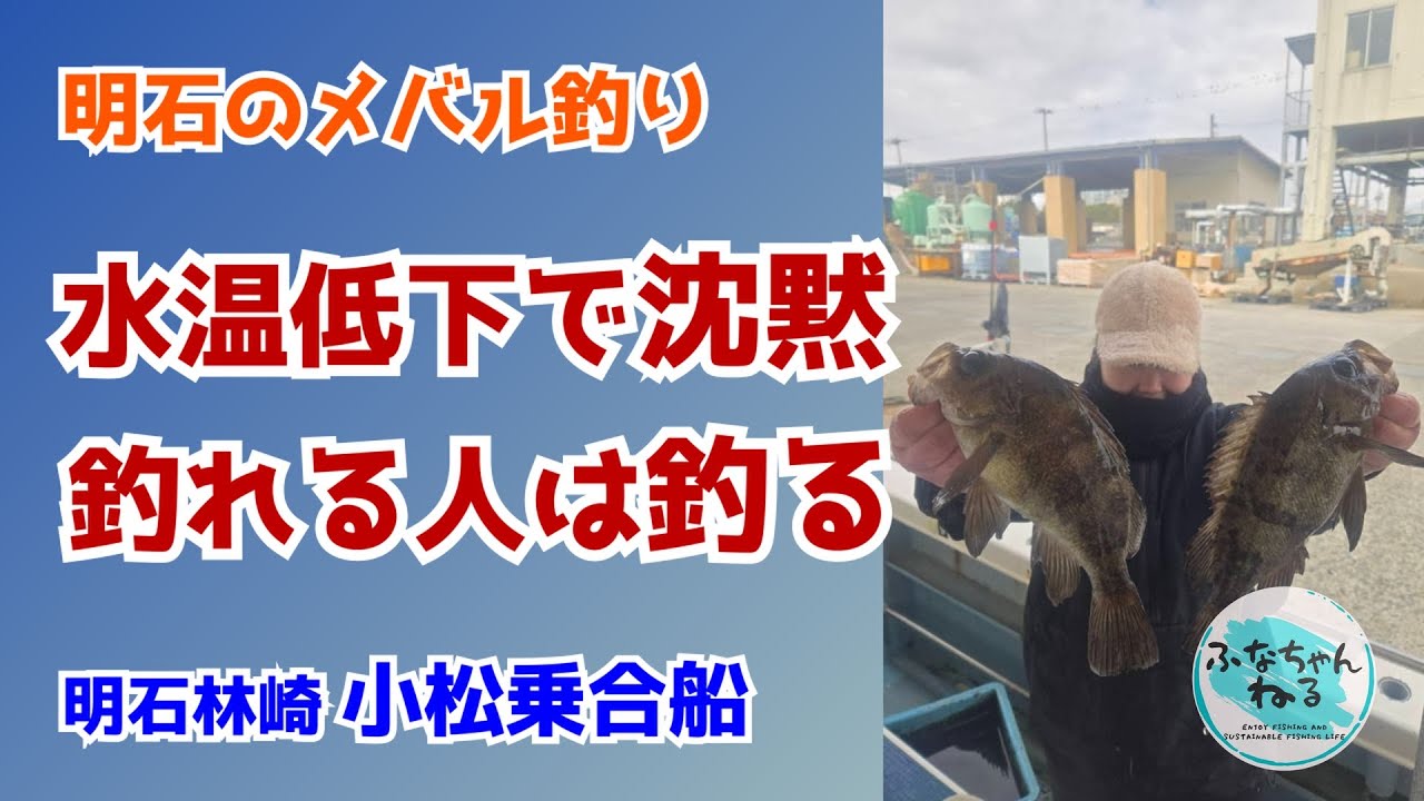 【メバル】水温低下でメバル沈黙…それでも釣る人は釣る