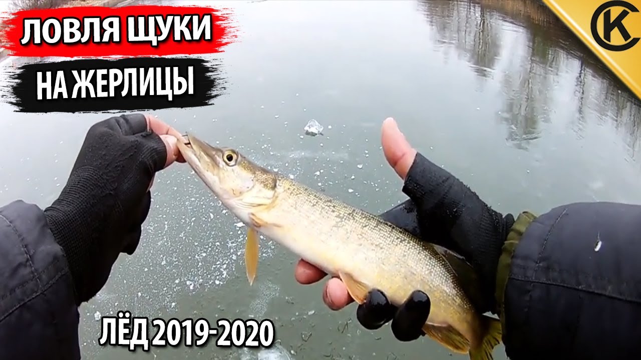 Ловлю 2019. Зимняя рыбалка на жерлицы на щуку 2020.