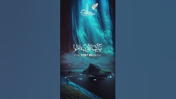 #quran #اكسبلور #foruyou #حالات_واتس #europe #دويتو #لايك #تلاوة_خاشعة #duet #تلاوات #القرآن_الكريم