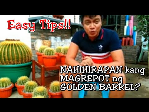 Video: Paano ka nagpapalaki ng mga tuta ng barrel cactus?